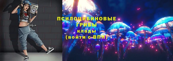 дмт Богородск